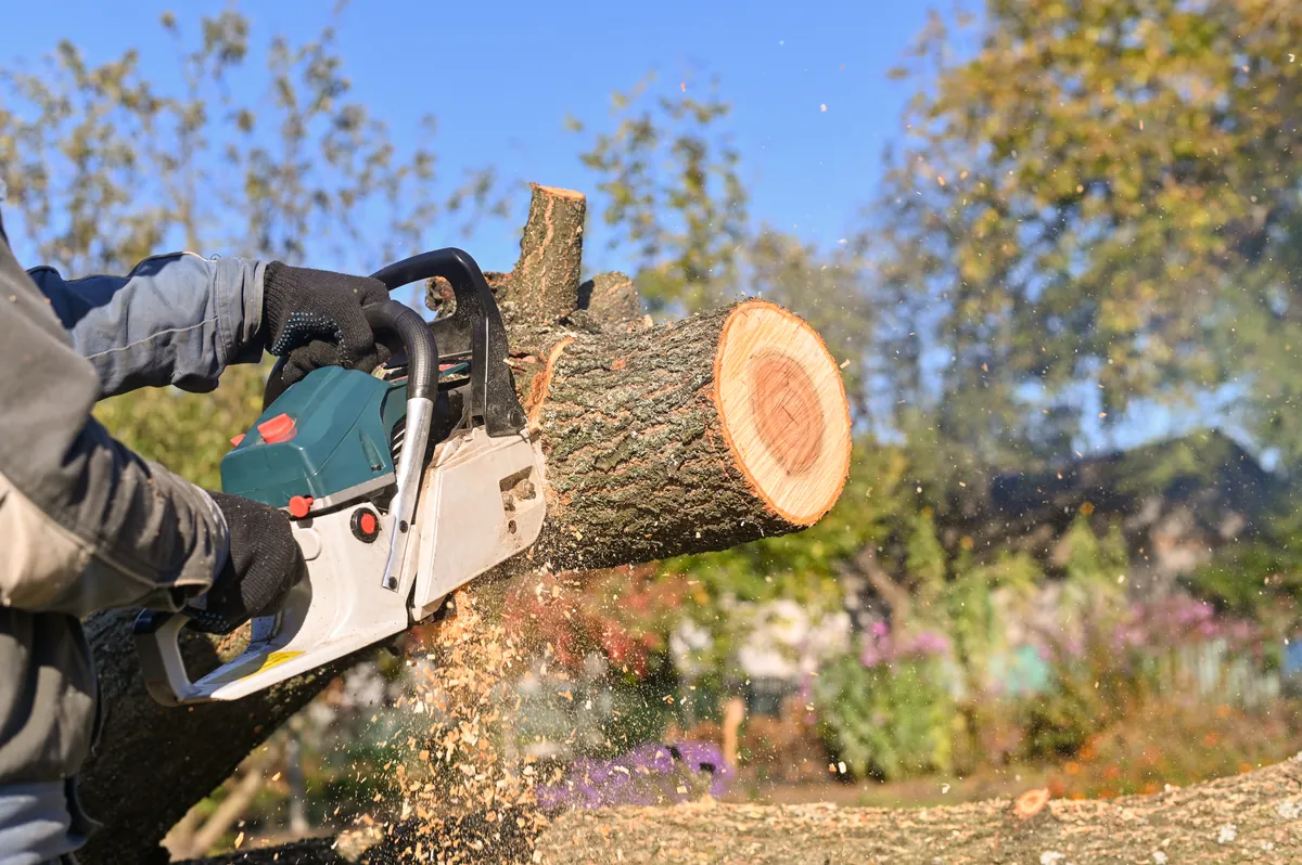 stihl fűkasza berántó